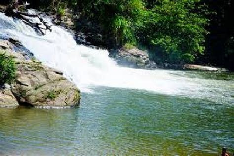cachoeira de macacu - frases do dia 8 de março